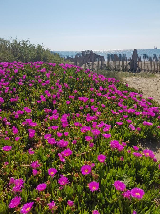 La Rose Des Sables, T2 A La Mer, Terrasse Et Garage Frontignan Exterior photo