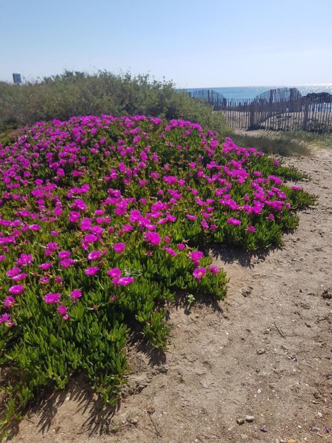 La Rose Des Sables, T2 A La Mer, Terrasse Et Garage Frontignan Exterior photo